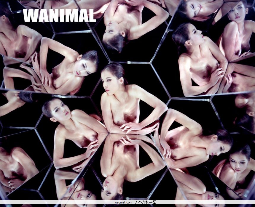 WANIMALƷʥͼ[107P]ȫ